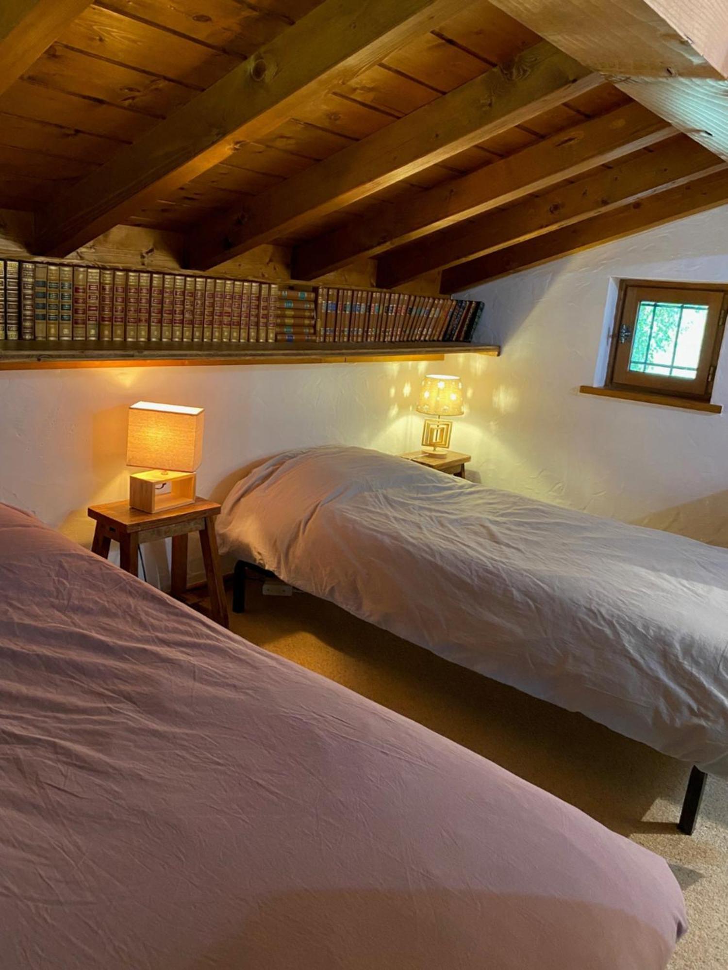 Chalet Erminea Chamonix Mont Blanc Exterior foto